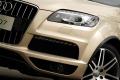 奥迪(进口) 奥迪Q7 2011款 3.0 TFSI 专享型(245kW)
