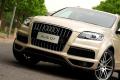 奥迪(进口) 奥迪Q7 2011款 3.0 TFSI 专享型(245kW)