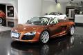 奥迪(进口) 奥迪R8 2011款 Spyder 5.2 FSI quattro