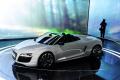 奥迪(进口) 奥迪R8 2011款 Spyder 5.2 FSI quattro
