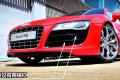 奥迪(进口) 奥迪R8 2010款 5.2 FSI quattro