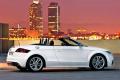 奥迪(进口) 奥迪TT 2011款 TTS Roadster 2.0TFSI quattro
