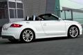 奥迪(进口) 奥迪TT 2011款 TTS Roadster 2.0TFSI quattro