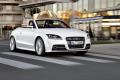 奥迪(进口) 奥迪TT 2011款 TTS Roadster 2.0TFSI quattro