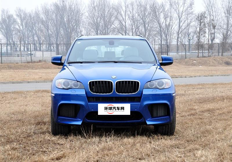 宝马(进口) 宝马X5 2010款 X5 M