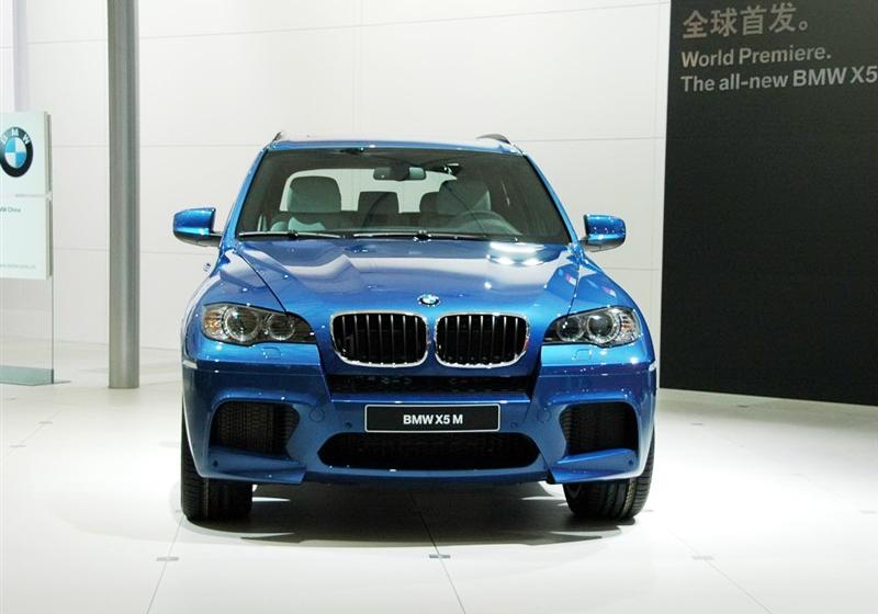 宝马(进口) 宝马X5 2010款 X5 M