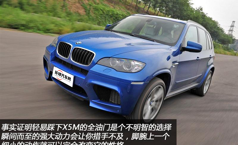 宝马(进口) 宝马X5 2010款 X5 M