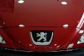 标致(进口) 标致308(进口) 2009款 1.6T CC 自动豪华型