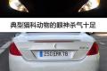 标致(进口) 标致308(进口) 2009款 1.6T CC 自动豪华型