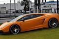 兰博基尼 Gallardo 2010款 5.2 LP550-2 标准版