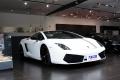 兰博基尼 Gallardo 2011款 5.2 LP550-2 Tricolore