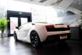 兰博基尼 Gallardo 2011款 5.2 LP550-2 Tricolore