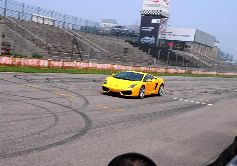 兰博基尼 Gallardo 2008款 5.2 LP560-4