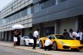 兰博基尼 Gallardo 2008款 5.2 LP560-4