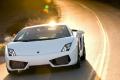 兰博基尼 Gallardo 2008款 5.2 LP560-4