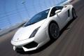 兰博基尼 Gallardo 2008款 5.2 LP560-4