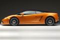 兰博基尼 Gallardo 2011款 5.2 LP560-4 Bicolore