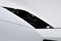 兰博基尼 Gallardo 2011款 5.2 LP560-4 Bicolore
