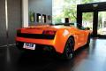 兰博基尼 Gallardo 2009款 5.2 LP560-4 Spyder