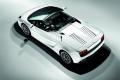 兰博基尼 Gallardo 2009款 5.2 LP560-4 Spyder