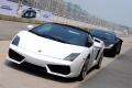 兰博基尼 Gallardo 2009款 5.2 LP560-4 Spyder