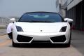 兰博基尼 Gallardo 2009款 5.2 LP560-4 Spyder