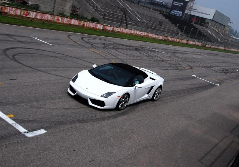 兰博基尼 Gallardo 2009款 5.2 LP560-4 Spyder