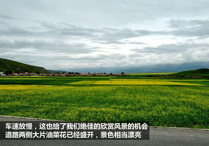 上海大众斯柯达 昊锐 2009款 1.8TSI AT贵雅版