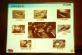 北京现代 北京现代i30 2009款 1.6 自动豪享型
