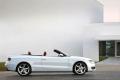 奥迪A5  2010款 2.0TSI Cabriolet