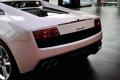 Gallardo  2010款 5.2 LP550-2 标准版