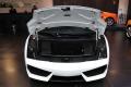 Gallardo  2010款 5.2 LP550-2 标准版
