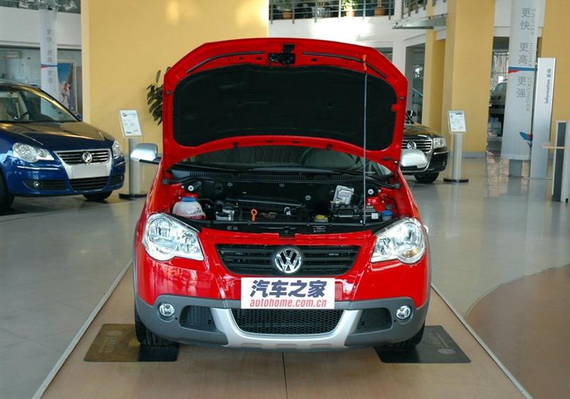 Polo  2007款 Cross Polo AT