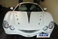 大蛇  2010款 3.3 AT基本型