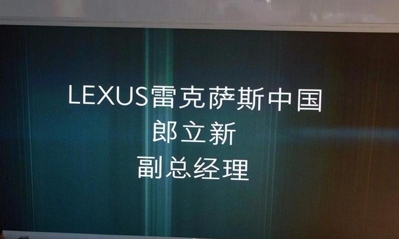 2013款 250 豪华版