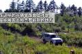 2009款 3.8L 五门 旗舰版