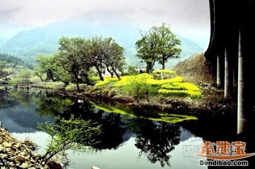 婺源油菜花
