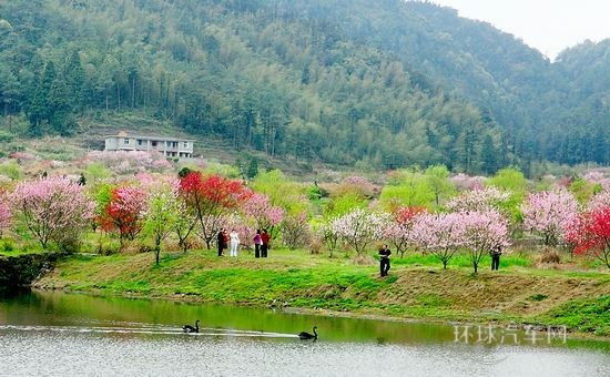 赏花踏春游