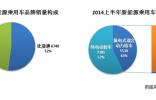 中国新能源车市半年总结