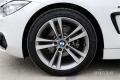 2014款 420i Gran Coupe 运动设计套装
