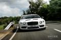 2015款 4.0T GT3-R