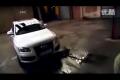 全能SUV 看看精致的奥迪Q5有多能装